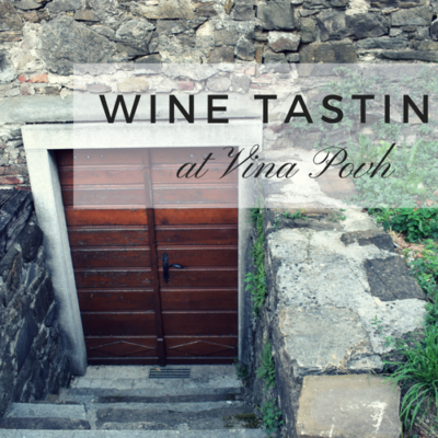 Wine Tasting at Vina Povh